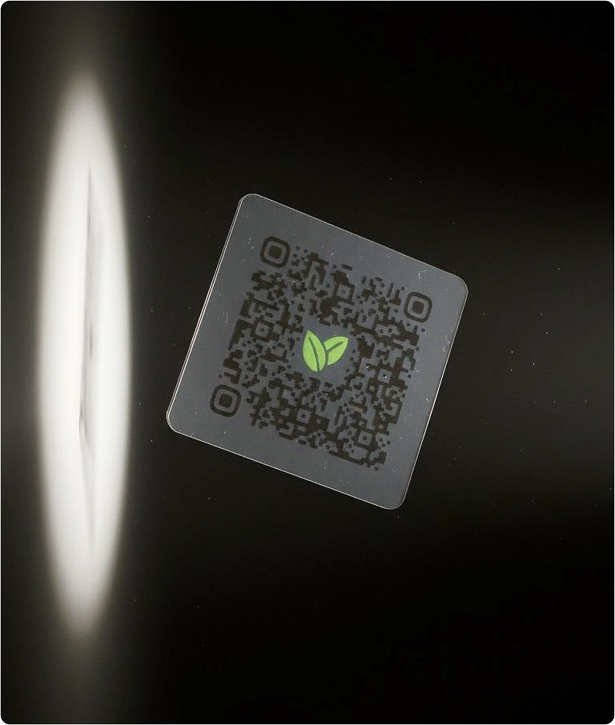 Après: Daily Metabolizer