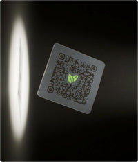 Après: Daily Metabolizer