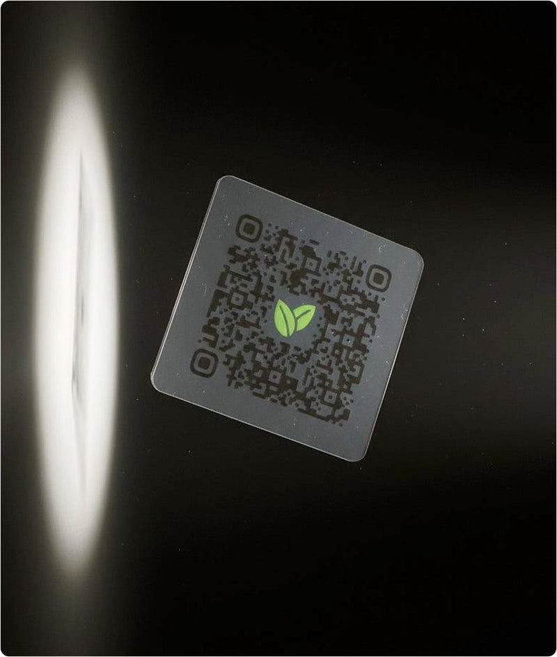 Après: Daily Metabolizer